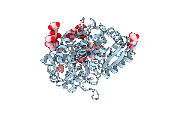 2P1S image