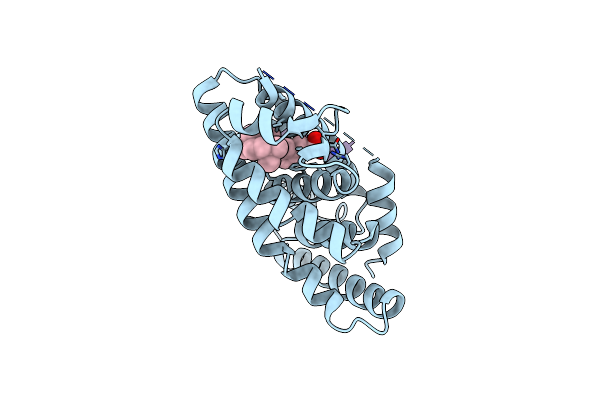 2P1U image