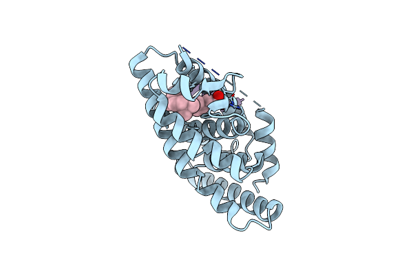 2P1V image