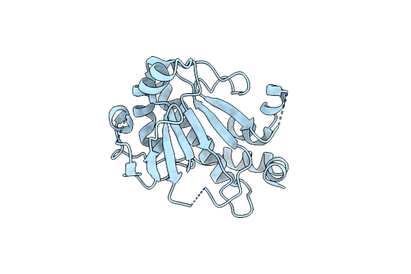 2P1W image
