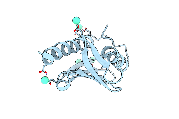 2P1X image
