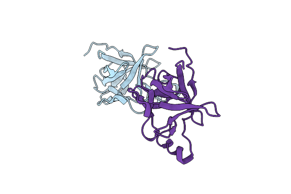 2P23 image