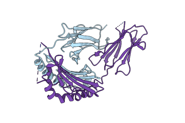 2P24 image