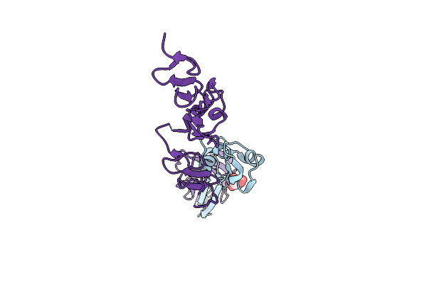 2P28 image