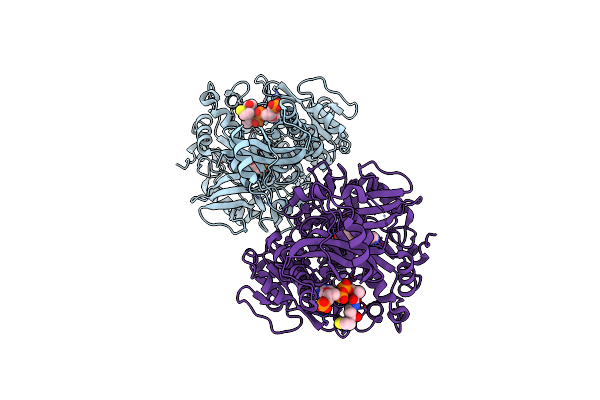 2P2B image