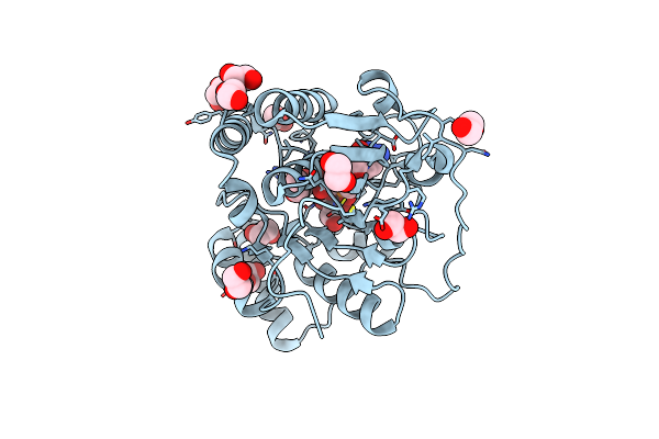 2P2V image