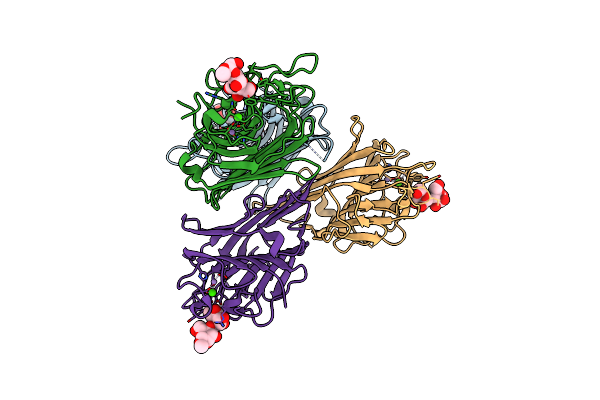 2P34 image