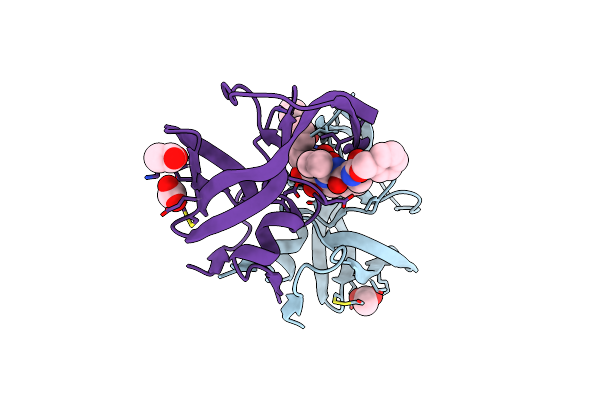 2P3C image