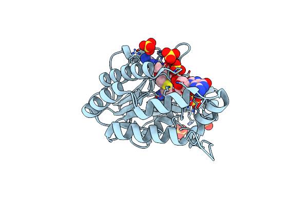 2P3Q image