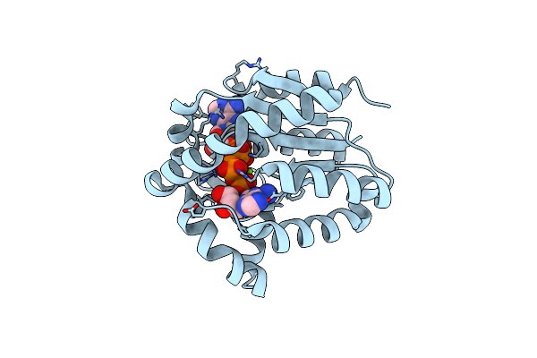 2P3S image