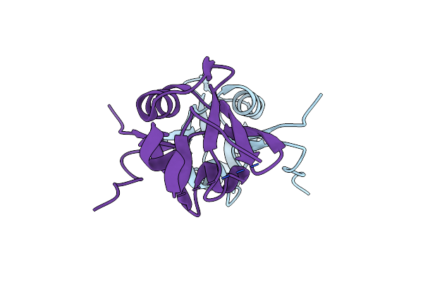 2P3W image