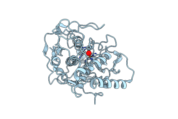 2P3X image
