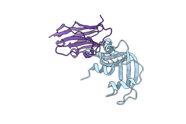 2P43 image