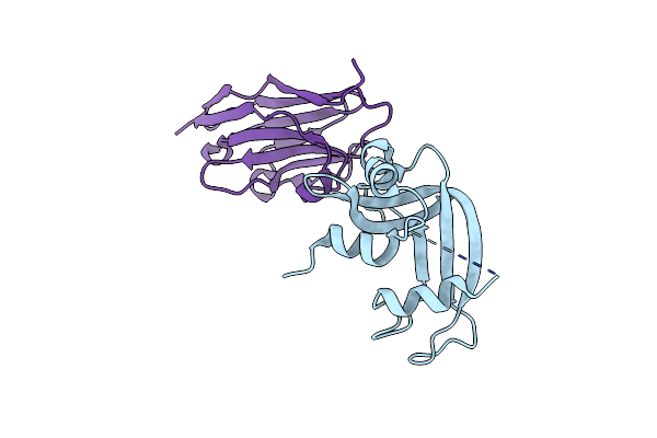 2P44 image