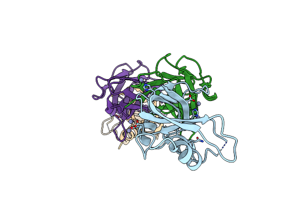 2P46 image