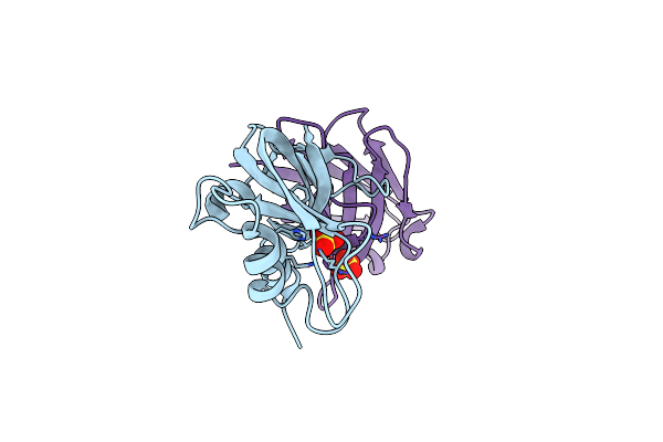 2P48 image