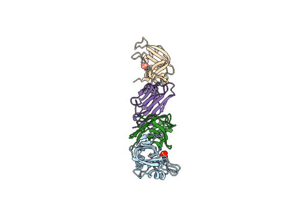 2P4A image