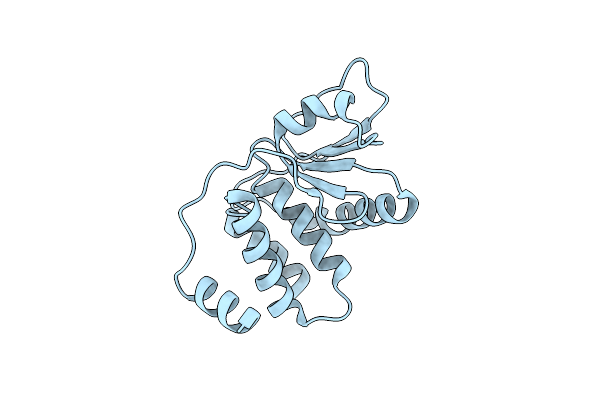 2P4D image