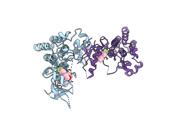 2P4I image