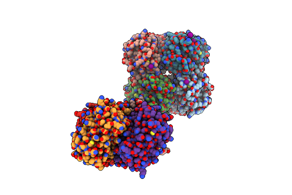 2P4M image