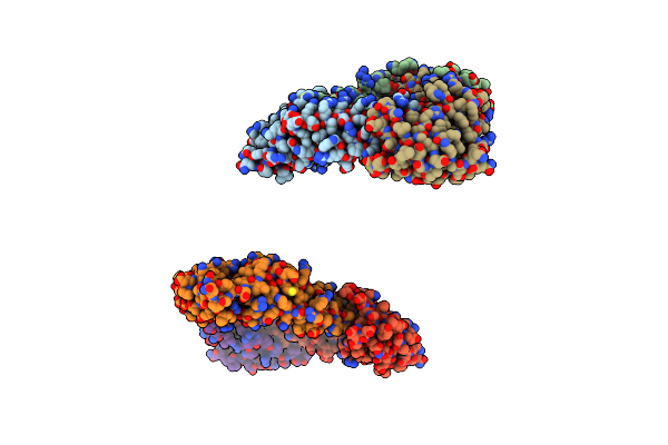 2P4V image