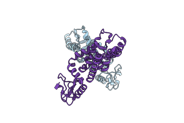 2P4X image