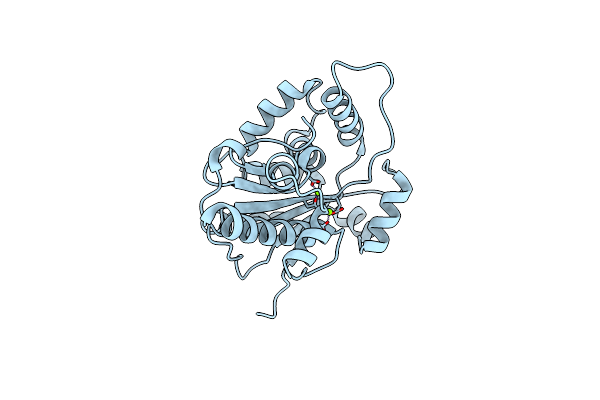2P51 image