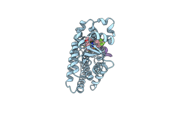 2P54 image
