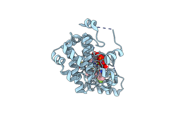 2P55 image