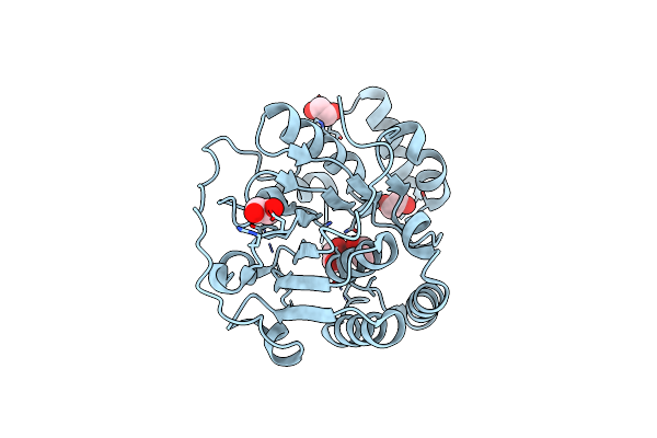 2P56 image