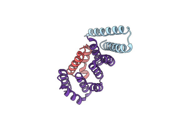 2P58 image
