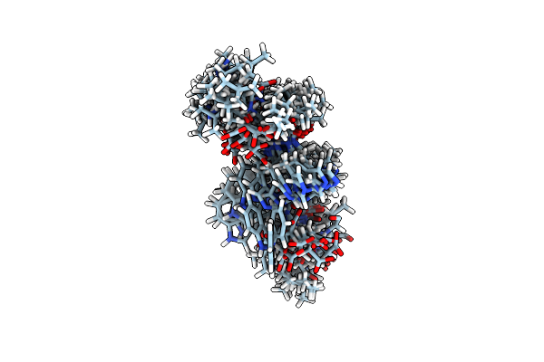 2P5H image