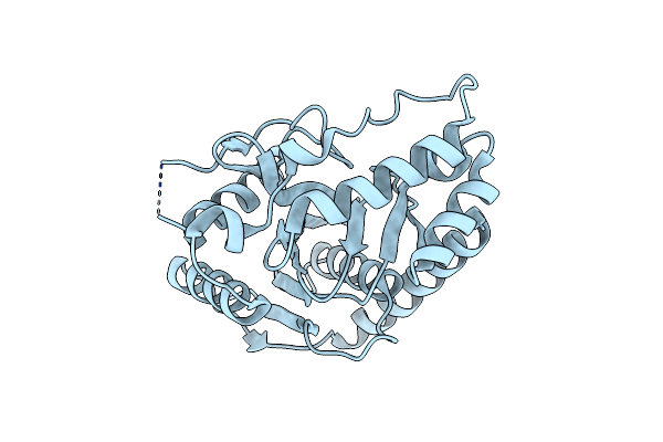 2P5I image