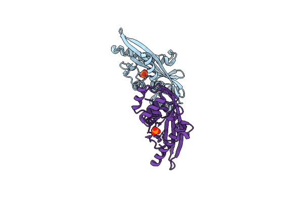 2P5X image