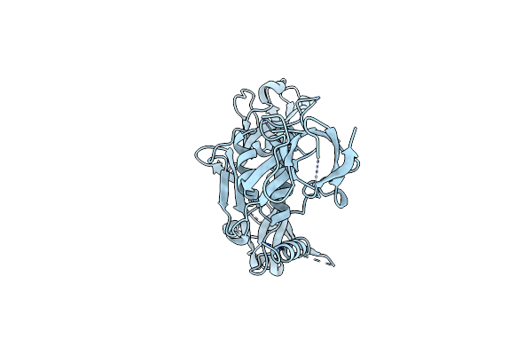 2P5Z image