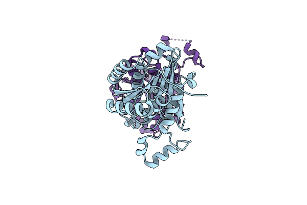 2P68 image