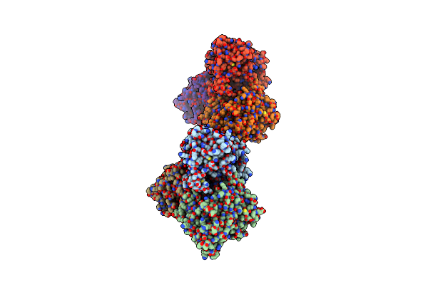 2P6E image