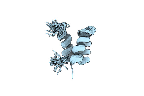 2P6J image