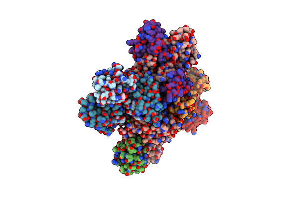 2P6T image