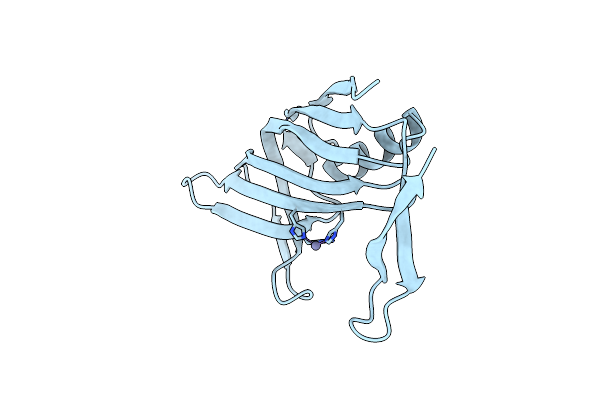 2P6Y image