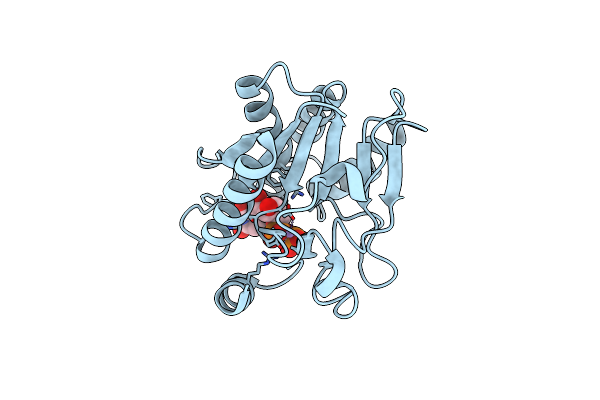 2P73 image