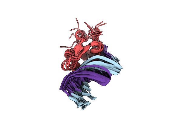 2P7C image