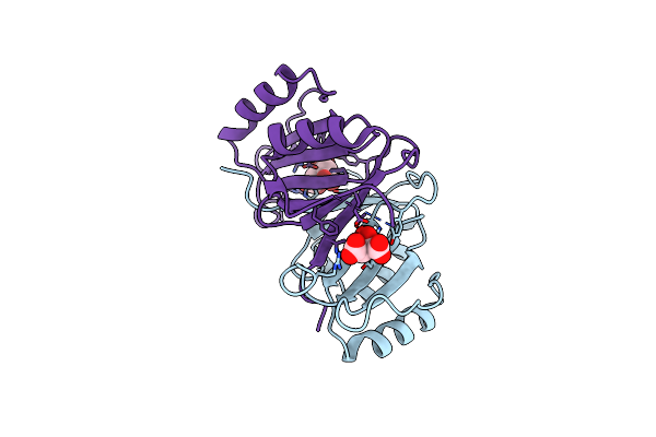 2P7K image