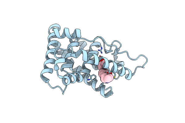 2P7Z image