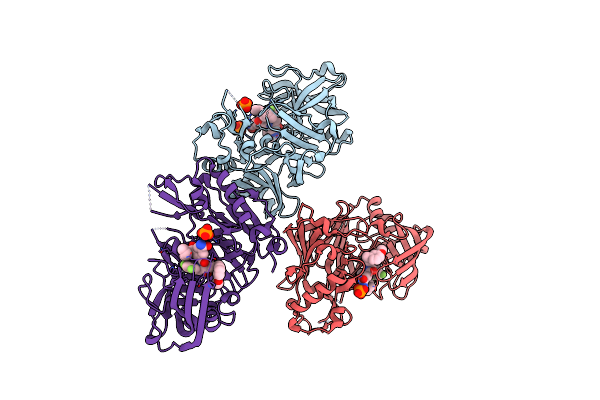 2P83 image