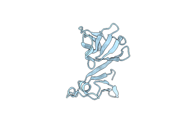 2P84 image