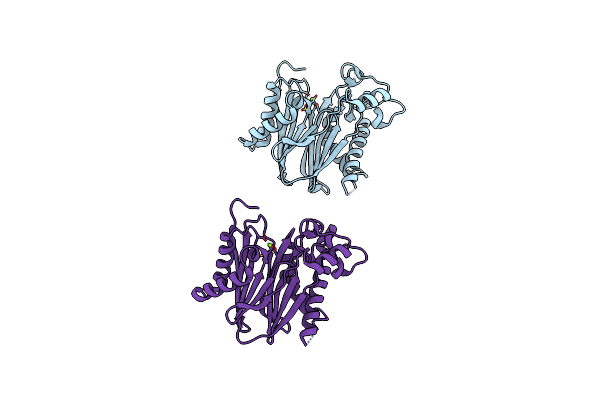 2P8E image
