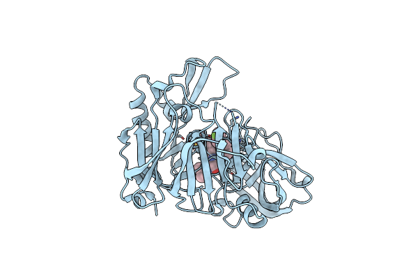 2P8H image