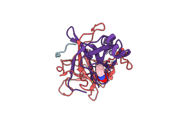 2P8O image
