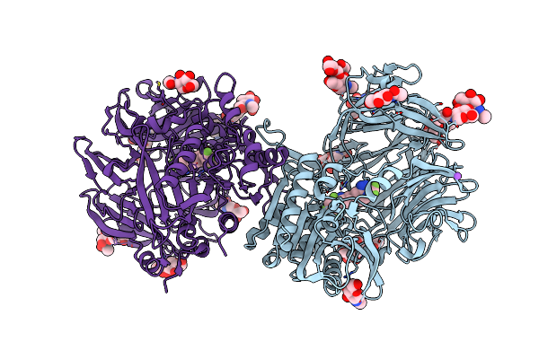 2P8S image